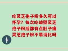 吃灵芝孢子粉多久可以怀孕？每次吃破壁灵芝孢子粉后都有点肚子痛灵芝孢子粉不易消化吗