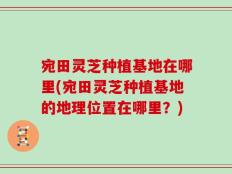 宛田灵芝种植基地在哪里(宛田灵芝种植基地的地理位置在哪里？)