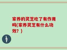 家养的灵芝吃了有作用吗(家养灵芝有什么功效？)