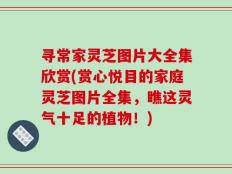 寻常家灵芝图片大全集欣赏(赏心悦目的家庭灵芝图片全集，瞧这灵气十足的植物！)