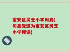 宝安区灵芝小学周鑫(周鑫受邀为宝安区灵芝小学授课)