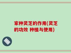 家种灵芝的作用(灵芝的功效 种植与使用)