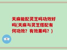 天麻能配灵芝吗功效好吗(天麻与灵芝搭配有何功效？有效果吗？)