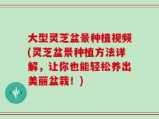 大型灵芝盆景种植视频(灵芝盆景种植方法详解，让你也能轻松养出美丽盆栽！)