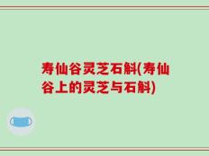 寿仙谷灵芝石斛(寿仙谷上的灵芝与石斛)