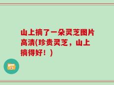 山上摘了一朵灵芝图片高清(珍贵灵芝，山上摘得好！)