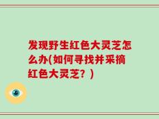 发现野生红色大灵芝怎么办(如何寻找并采摘红色大灵芝？)