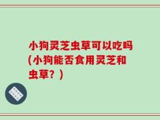 小狗灵芝虫草可以吃吗(小狗能否食用灵芝和虫草？)