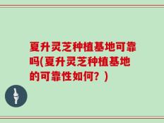 夏升灵芝种植基地可靠吗(夏升灵芝种植基地的可靠性如何？)