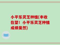 小平乐灵芝种植(丰收在望！小平乐灵芝种植成绩斐然)