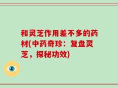 和灵芝作用差不多的药材(中药奇珍：复盘灵芝，探秘功效)