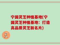 宁国灵芝种植基地(宁国灵芝种植基地：打造高品质灵芝新名片)