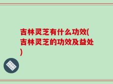 吉林灵芝有什么功效(吉林灵芝的功效及益处)