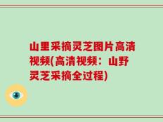 山里采摘灵芝图片高清视频(高清视频：山野灵芝采摘全过程)