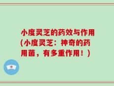小度灵芝的药效与作用(小度灵芝：神奇的药用菌，有多重作用！)