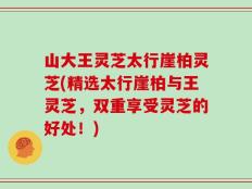 山大王灵芝太行崖柏灵芝(精选太行崖柏与王灵芝，双重享受灵芝的好处！)