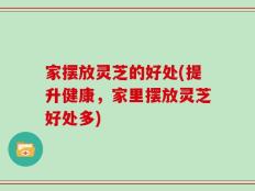 家摆放灵芝的好处(提升健康，家里摆放灵芝好处多)