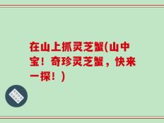 在山上抓灵芝蟹(山中宝！奇珍灵芝蟹，快来一探！)