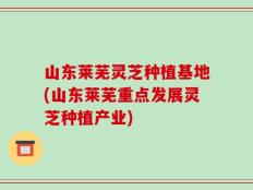 山东莱芜灵芝种植基地(山东莱芜重点发展灵芝种植产业)