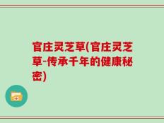 官庄灵芝草(官庄灵芝草-传承千年的健康秘密)
