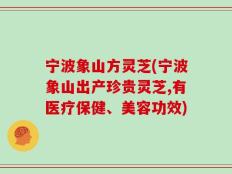 宁波象山方灵芝(宁波象山出产珍贵灵芝,有医疗保健、美容功效)