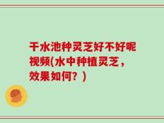 干水池种灵芝好不好呢视频(水中种植灵芝，效果如何？)
