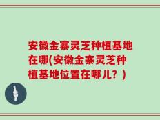 安徽金寨灵芝种植基地在哪(安徽金寨灵芝种植基地位置在哪儿？)