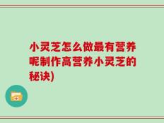 小灵芝怎么做最有营养呢制作高营养小灵芝的秘诀)