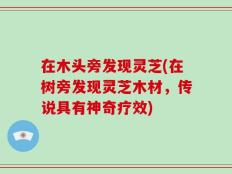 在木头旁发现灵芝(在树旁发现灵芝木材，传说具有神奇疗效)