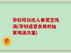 孕妇可以吃人参灵芝鸡汤(孕妇适宜食用的仙草鸡汤方案)