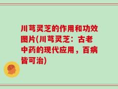 川芎灵芝的作用和功效图片(川芎灵芝：古老中药的现代应用，百病皆可治)