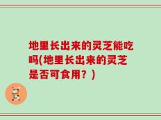 地里长出来的灵芝能吃吗(地里长出来的灵芝是否可食用？)