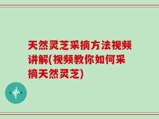 天然灵芝采摘方法视频讲解(视频教你如何采摘天然灵芝)