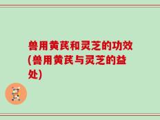 兽用黄芪和灵芝的功效(兽用黄芪与灵芝的益处)