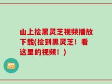 山上捡黑灵芝视频播放下载(捡到黑灵芝！看这里的视频！)