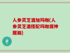 人参灵芝酒加玛咖(人参灵芝酒搭配玛咖提神醒脑)