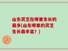 山东灵芝在哪里生长的最多(山东哪里的灵芝生长最丰富？)