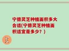 宁德灵芝种植面积多大合适(宁德灵芝种植面积适宜是多少？)