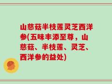 山慈菇半枝莲灵芝西洋参(五味丰添至尊，山慈菇、半枝莲、灵芝、西洋参的益处)