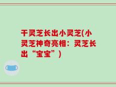 干灵芝长出小灵芝(小灵芝神奇亮相：灵芝长出“宝宝”)