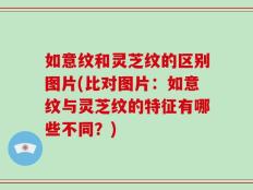 如意纹和灵芝纹的区别图片(比对图片：如意纹与灵芝纹的特征有哪些不同？)