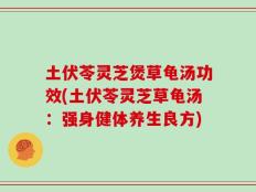 土伏苓灵芝煲草龟汤功效(土伏苓灵芝草龟汤：强身健体养生良方)