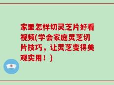 家里怎样切灵芝片好看视频(学会家庭灵芝切片技巧，让灵芝变得美观实用！)