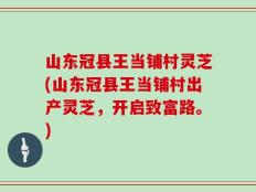 山东冠县王当铺村灵芝(山东冠县王当铺村出产灵芝，开启致富路。)