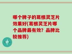 哪个牌子的葛根灵芝片效果好(葛根灵芝片哪个品牌最有效？品牌比较推荐)