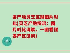 各产地灵芝区别图片对比(灵芝产地辨识：图片对比详解，一图看懂各产区区别)