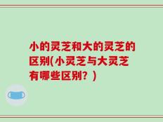 小的灵芝和大的灵芝的区别(小灵芝与大灵芝有哪些区别？)