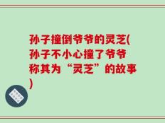 孙子撞倒爷爷的灵芝(孙子不小心撞了爷爷 称其为“灵芝”的故事)
