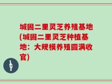 城固二里灵芝养殖基地(城固二里灵芝种植基地：大规模养殖圆满收官)