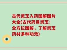 古代灵芝入药图解图片大全(古代药用灵芝：全方位图解，了解灵芝药材多种功效)